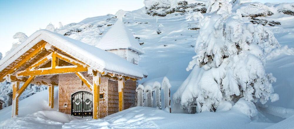 Arber Resort & Wellness Sumava Železná Ruda Exteriör bild